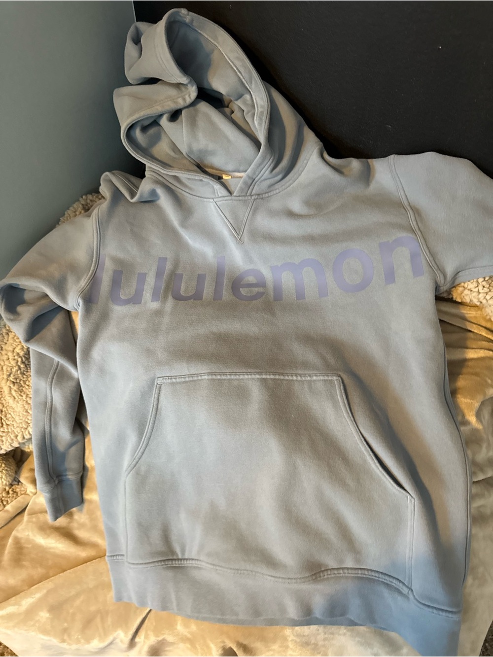 lululemon athletica Light Blue Pullover Hoodie with Lavender Logo
